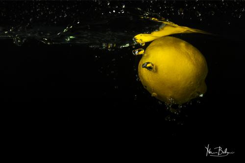 Fruits-25