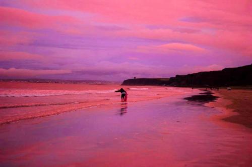 Northern-Irelands-2013