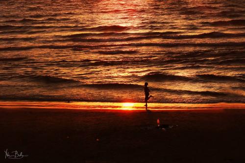 Tel-Aviv-2014