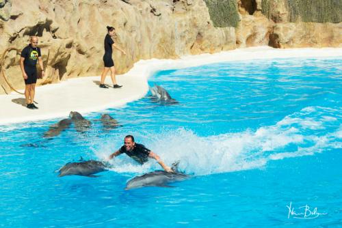 Tenerife-Canary-Islands-2016-5